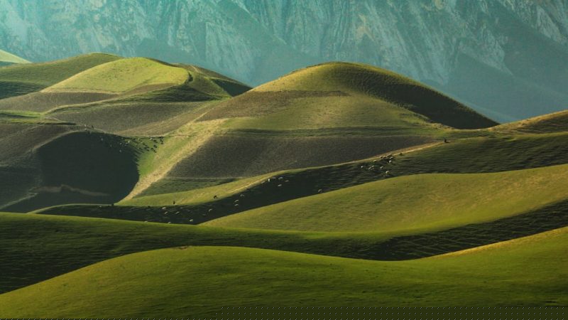 Exploring the Marvels of Mazār-e Sharīf: 5 Must-Visit Places